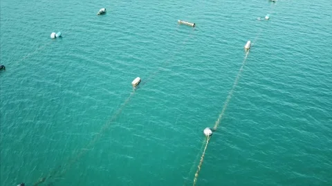 Flight over oyster farm Stock Footage 256474979