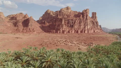 Flight over palm yard with rock formation in background. Aerial 4k Stock Footage 196826507