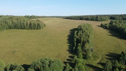 Flight over paradise fields and forests Stock Footage 161429959