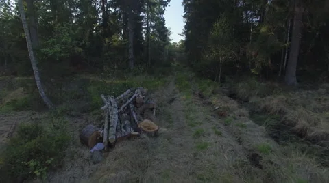 A flight over a path in a forest 005 Video stock 63975693