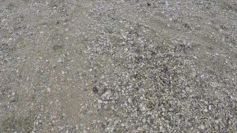 Flight over the pebble beach Stock Footage 86790529