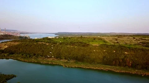 Flight over pelican flock Video stock 104050818