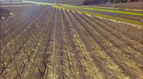 Flight over plant Stock-Footage 46462140