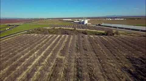 Flight over plant Vidéo 46462589