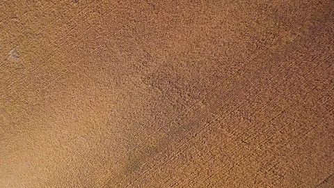 Flight over plantation of corn field. Aerial view Stock Footage 120626258