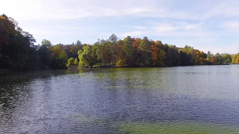 Flight over a pond in an autumn park Video stock 119591699