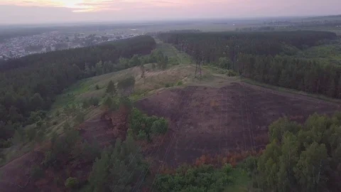 Flight over the power lines at the hill amidst the forest Stock Footage 92429829