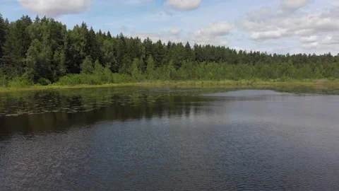Flight over a quiet forest lake overgrown with lilies and water lilies. Stock Footage 135522717