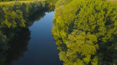 Flight over a quiet river surrounded by green trees at sunset Stock Footage 95998136