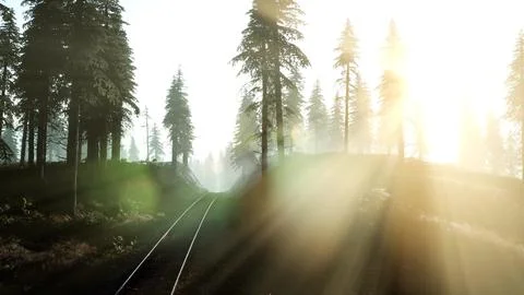 Flight over Railway Ilustração Stock