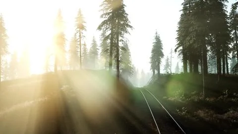 Flight Over A Railway Surrounded By Forest with Sunbeams Stock Illustration