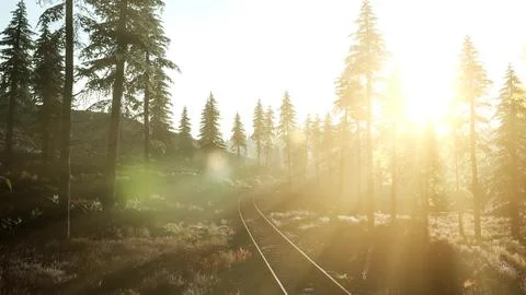 Flight Over A Railway Surrounded By Forest with Sunbeams Stock Illustration