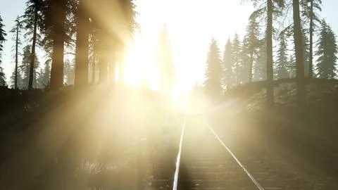 Flight Over A Railway Surrounded By Forest with Sunbeams Ilustração Stock