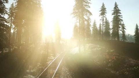 Flight Over A Railway Surrounded By Forest with Sunbeams Stock Illustration