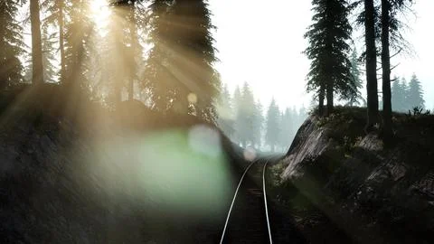 Flight Over A Railway Surrounded By Forest Stock Illustration