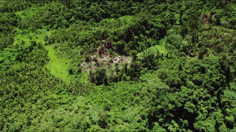 Flight over the rain forest Stock Footage 25333439