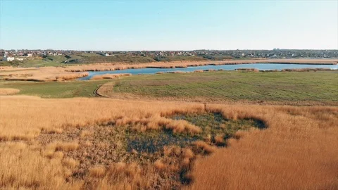 Flight Over Reed 库存影片 106782481