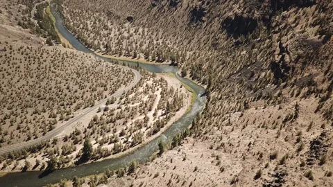 Flight over remote high desert flyfishing stream canyon Stock Footage 95874976