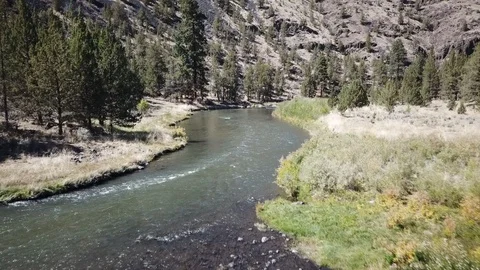 Flight over remote high desert flyfishing stream canyon Stock Footage 95876116