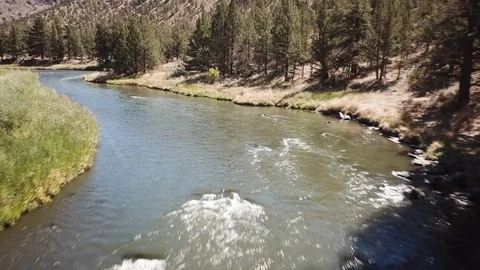 Flight over remote high desert flyfishing stream canyon Stock Footage 95876424