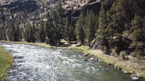 Flight over remote high desert flyfishing stream canyon Stock Footage 95876505