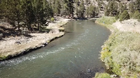 Flight over remote high desert flyfishing stream canyon Stock Footage 95876830