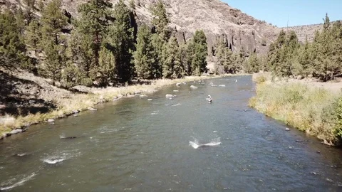 Flight over remote high desert flyfishing stream canyon Stock Footage 95878178