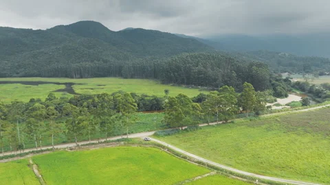 Flight over the rice field with mountains on the background. State of Santa Stock Footage 341637199