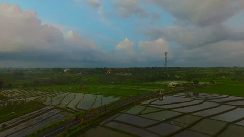 Flight over rice fields and motorbikes on the road at evening Stock Footage