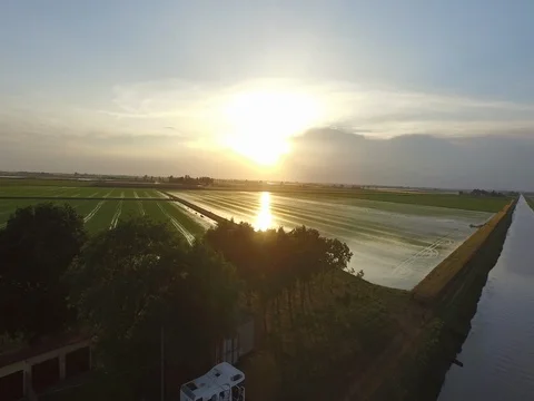 Flight over the rice fields in a quiet dawn Stock Footage 72210162