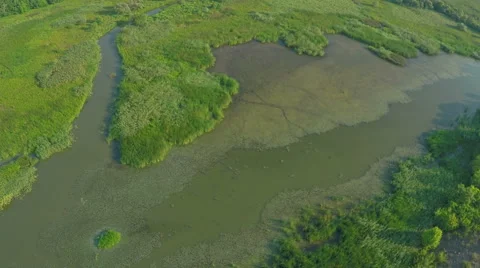 Flight over the river. AERIAL VIEW of birds flying over the jungle lake 스톡 동영상 56461527
