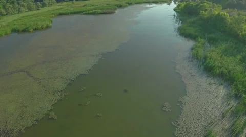 Flight over the river. AERIAL VIEW of birds flying over the jungle lake Stock Footage 56462232