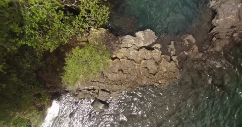 Flight over river and forest at Huilo Huilo Park - Patagonia - Chile Stock Footage 78205372