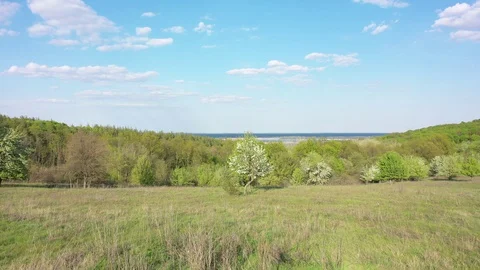 Flight over the river and forest at spring time. Видео 129499837