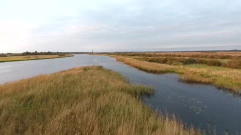 Flight over the river and grass. Reeds. Vídeo Stock 86843636