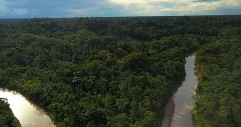 Flight Over a River and Jungle in the Amazon with beautiful Sunrise, Brazil Stock Footage 92974751