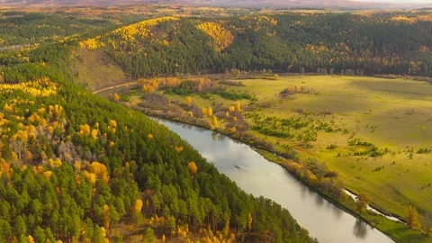 Flight over the river. Autumn forest. Wildlife. Stock Footage 142861537