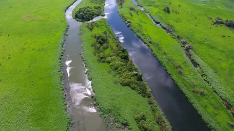 Flight over the river bank covered with reeds. bright summer day Stock Footage 83545441