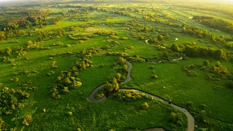 Flight over the river with beautiful turns. Beautiful greenery around untouched Stock Footage 200736070