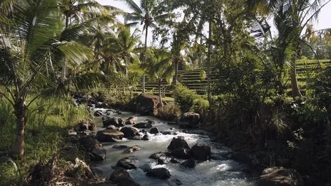 Flight over a river bed flowing in the tropics along rice terraces indonesia Stock Footage 119537496