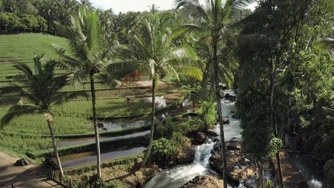 Flight over a river bed flowing in the tropics along rice terraces indonesia Stock Footage 119537516