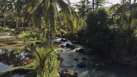 Flight over a river bed flowing in the tropics along rice terraces indonesia Stock Footage 119537539