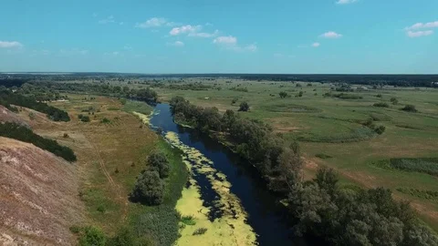 A flight over the river between the trees. Stock Footage 84030547