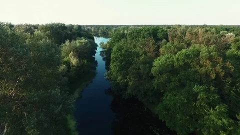 A flight over the river between the trees. Stock Footage 84030566