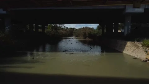 Flight over a river in a city, drone passes under a bridge and a road, the bi Stock Footage 220881555