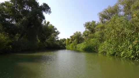 Flight Over the River. Stock Footage 55516588