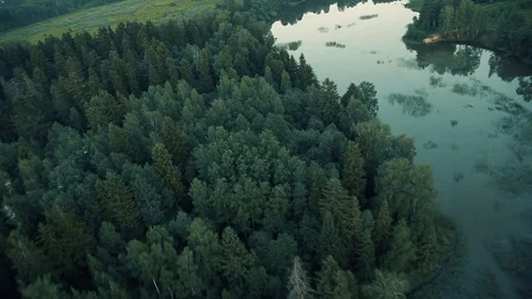 Flight over the river Stock Footage 80312861