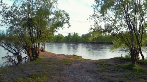 Flight over the river Stock Footage 113539623