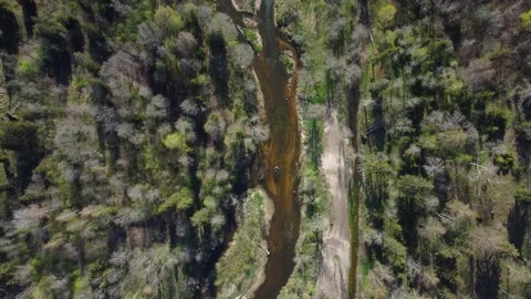 Flight over the river. Stock Footage 239938148