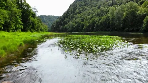 Flight over river in the forest	 Stock Footage 149321241